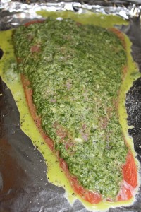 Cilantro Salmon w/Pico Couscous - Food, Fun, Whatever !!
