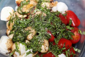 Picnic Caprese Salad - Food, Fun, Whatever !!
